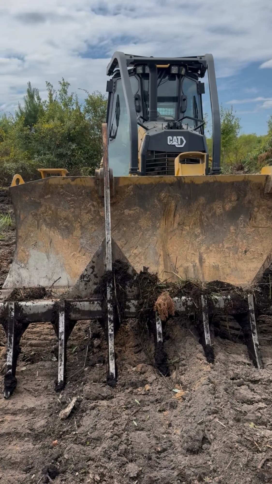 Ward Excavation CAT track loader fitted with a root rake grubbing stumps and roots while clearing land at a Carolinas jobsite.